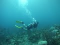 Scuba Diving with Laurence, Manchioneel Bay, Peter Island BVI