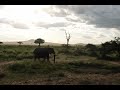 African Safari Tanzania Part 3 (Melonakos Family) June 2022