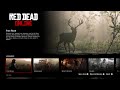 Red Dead Redemption 2 Online Issue