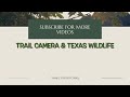 Browning Spec Ops Edge Trail Camera Video Oct. 9-10, 2022