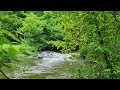 The relaxing sound of the stream, relax and unwind. Calm down and regenerate your mind #nature