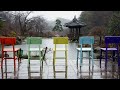 Morning Calm Arboretum's Winter Rain Sound - White Noise ASMR Perfect for Sleeping, Relax, Study