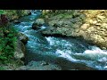 Beautiful relaxing stream sounds to calm your nerves, Sound of Nature