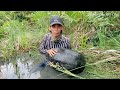Thăm lờ cá gặp con QUÁI VẬT nằm giữa đường khổng lồ nặng 10 ký | Giant tortoise