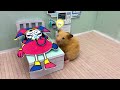 Story of Rescuing Baby Pomni and Pregnant from Hamster Poppy Playtime by Sun Hamster