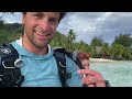 Scuba Diving with Sharks & Turtles on the Island of Moorea in Tahiti