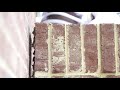 Bee Hive inside a Brick Wall | Richardson, TX | Bee Safe Bee Removal