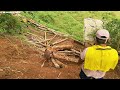 Teknologi Derek, Di Samping Pohon Angker, umur 300 Tahun lebih