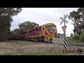 Heritage Trains RETURN to the Oaklands Line! (SRHC's Spirit of Yarrawonga) | C501, N451