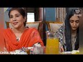 Jaan Nisar Episode 17 Teaser - Jaan Nisar Ep 17 Promo - Har Pal Geo - Danish Taimoor - Hiba Bukhari