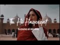 Tu Hi Haqeeqat Lo-fi [slow reverb] | Emraan Hashmi, Soha Ali Khan | SKJ Pictures