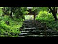 4K + Nature sounds [revival version] Only the sound of rain can be heard in the empty temple grounds