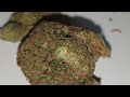 Curaleaf® T20 Tripoli Medical Cannabis Flower Medical Cannabis - UK Strain Review