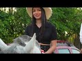 STUNNING WOMEN RIDING IN GINEBRA COLOMBIA #latina #horseriding #cowgirl #rodeo #caballos #horse