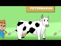 Main Ke Peternakan Sapi GREENFIELDS Malang | SI OTAN (14/05/20) Part 2