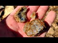 Lake Bottom Ruby Sapphire Corundum & Bots | Low Water | North Carolina