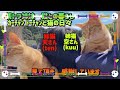 猫もハロウィン気分🎃👻『猫と暮らす50代夫婦』