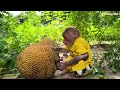 Bibi and Dad clean up an anbandoned villa into a liveble garden