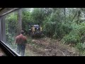 Extreme clearing of brush and trees (Part 1)