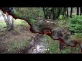 BIG Compilation - Beaver Dam Removal With Excavator