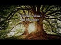 Sagen aus dem Schwarzwald - Folgen 31 - 40