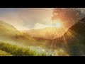 Classical Music for Relaxation, Music for Stress Relief, Relax Music, Bach, ♫E044