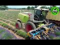 The Most Modern Agriculture Machines That Are At Another Level,How To Harvest Potatoes In Farm▶10