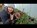 Top 10 Vegetables to Grow and Harvest in Winter
