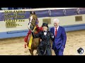 2020 Show Horse Hall of Fame - CBMF Restless