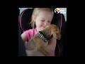 Girls REALLY Want To Adopt This Puppy | The Dodo