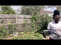 Attempting To Clear Overgrown Fence| Yard Work | Yard Maintenance