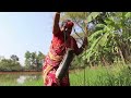 Fishing Video || Traditional village man and lady have extraordinary fishing talent | Catching fish