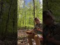 1st Day of May, 2023, Peaceful Guitar Soundscapes in a Sunny Green English Forest