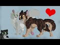 Forbidden Love is ACTUALLY GOOD? | Warrior Cats