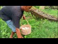 top amazing! A man picks up eggs near a pile and collects many eggs