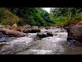 River sounds for deep sleep in 10 minutes | Meditation, Insomnia, Relaxation and Study