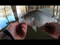 Fishing Under a BUSY INTERSTATE BRIDGE!! (Lots of fish)
