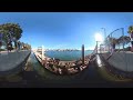 360 View - California Sea Lions on pier in Marina Del Rey