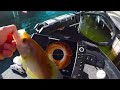 Humminbird 360 Crappie Fishing Terry Blankenship & Brent Algeo