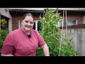 Harvesting & Small life update | The Tiny Garden