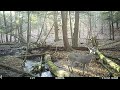 November 2023 Trail Camera Videos