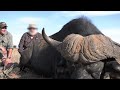 Hunt 3 buffalo in the Kalahari - Every hunter's dream