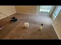 Undeniable Proof Challenger & Ammonia rule carpet cleaning. Vlm