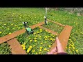 How To Kill Dandelions In Spring