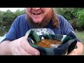 Water Purification and Tractor Camping | In the Bush #88
