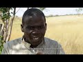 Kwando (2019) | Documentary | National Geographic Okavango Wilderness Project