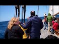Whale Watching Sail on Schooner America   April 8, 2015