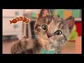 Little Kitten - My Favorite Cat (Fox and Sheep GmbH) - Best App For Kids