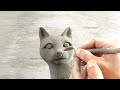 It's amazing to see his skill in making a real cement cat