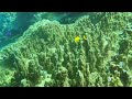 Philippines the best diving spot in the world